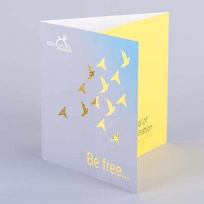Origami Bird And Die-Cut Brochure