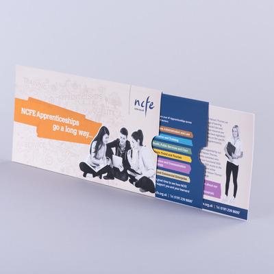 Telescopic Extending Mailer