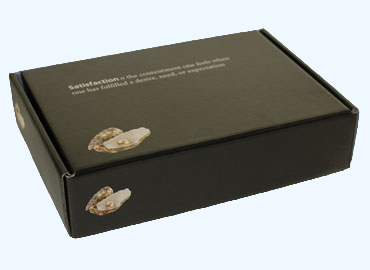 0427 Style Carton (Litho Lamination)