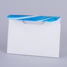 Non Capacity Glued Board Envelope