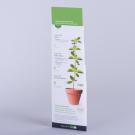 Telescopic Extending Mailer