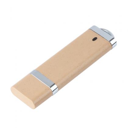 USB Flash Drive Washington Eco