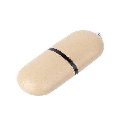 USB Flash Drive Palm Springs Eco