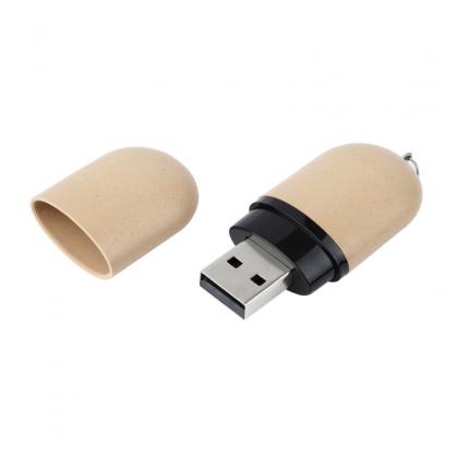 USB Flash Drive Palm Springs Eco