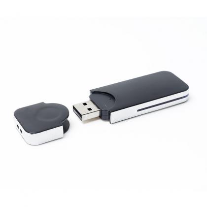 USB Flash Drive Irkutsk