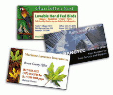 Business Card Magnets