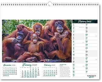 Kindred Spirits Calendar
