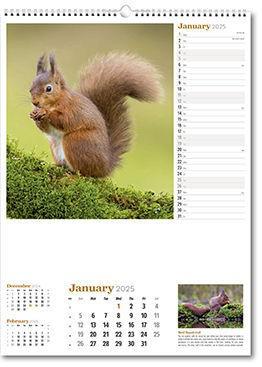 Wildlife in Britain Calendar