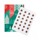 ADVENT CALENDAR XS PLUS