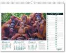 Kindred Spirits Calendar