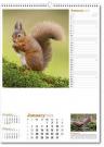 Wildlife in Britain Calendar