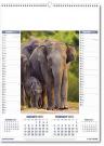 Planet Nature Calendar