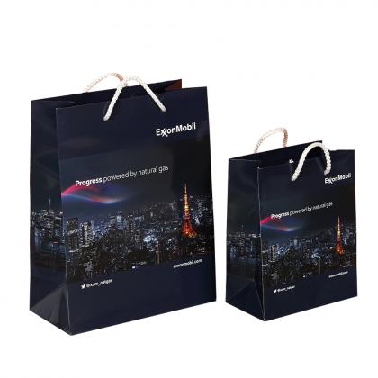 Rope handle laminated paper carrier bags any size