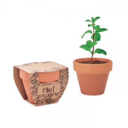 Mint Pot - Terracotta Pot Mint Seeds