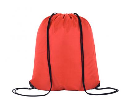 Orange Nylon Bags