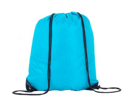 Turquoise Nylon Bags