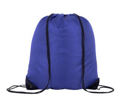 Royal Blue Nylon Bags