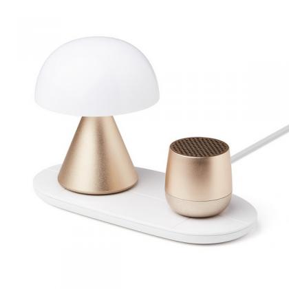 Duo Mini Charger