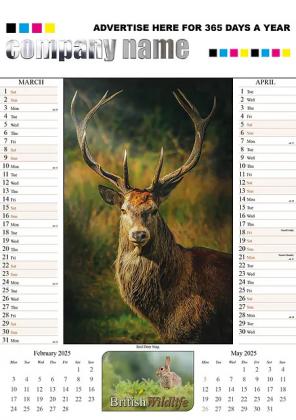 British Wildlife