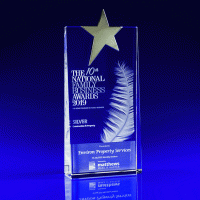 Crystal Glass Star Award or Trophy