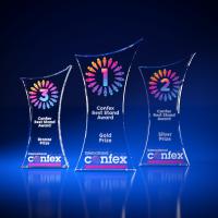 Crystal Glass Trophy Award