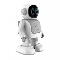 Robert the dancing robot