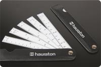 Fan ruler L20