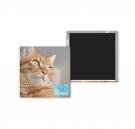 Photomagnet - 2" x 2" - 53mm x 53mm