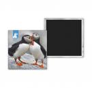 Photomagnet - 2.5" x 2.5" - 63mm x 63mm