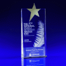 Crystal Glass Star Award or Trophy