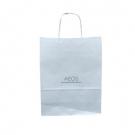 Twist Handle Paper Bags