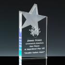 Wedge 6.5" Star Block
