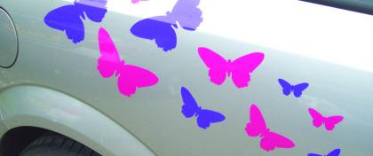 VINYL CUT GRAPHICS VINYL CUT GRAPHICS