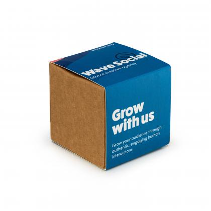 Wildflower Seed Bomb Kit