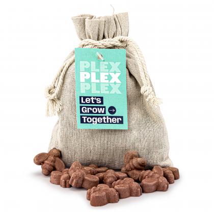 Bee-Shaped Seed Bombs Bag