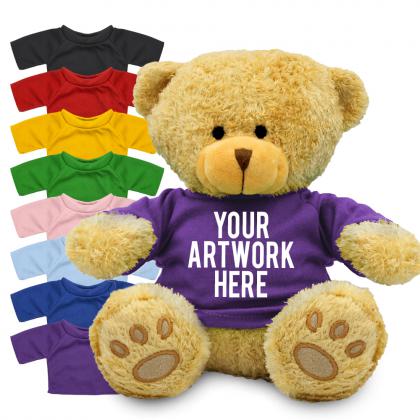 Printed 22cm Edward II Bear with coloured t-shirt