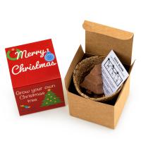 Christmas Tree Seed Bomb Kit