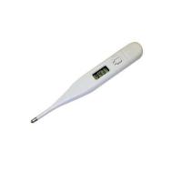Digital Thermometer