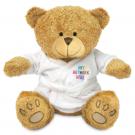 Printed 22cm Edward II Bear with Dressing Gown
