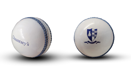 Cricket Ball