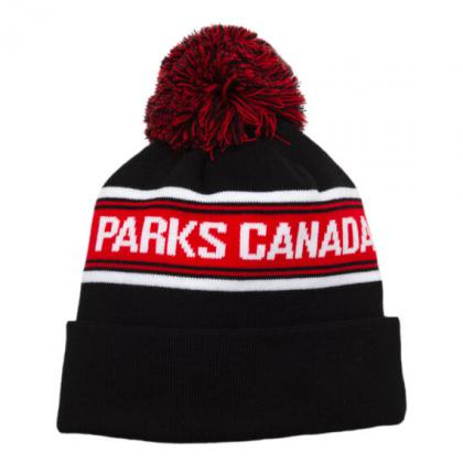 Premium Express Beanie acrylic with pom