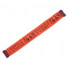 Premium Express Printed scarf
