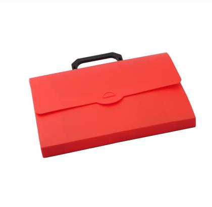 Polypropylene document carry case