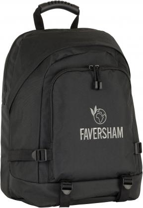 Faversham Eco Recycled  Rpet Laptop Backpack