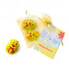 Organza Bag - Chirpy Chicks