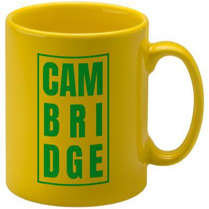CAMBRIDGE MUG E144606