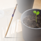 Wooden Pencil with Poppy Seeds