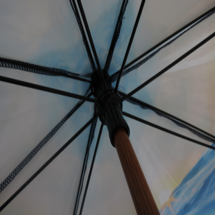 Spectrum City Cub Umbrella