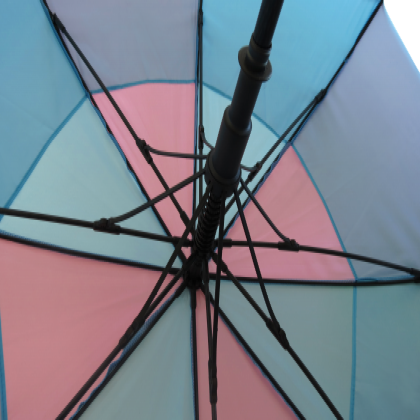 Fibrestorm Auto Vented Umbrella
