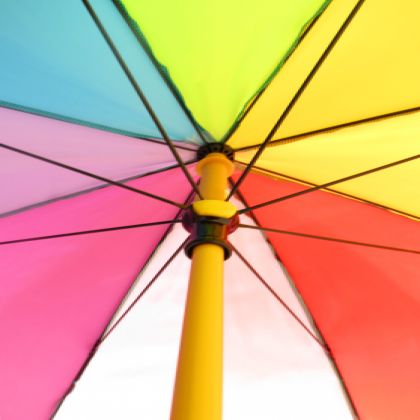 Spectrum Sport Umbrella